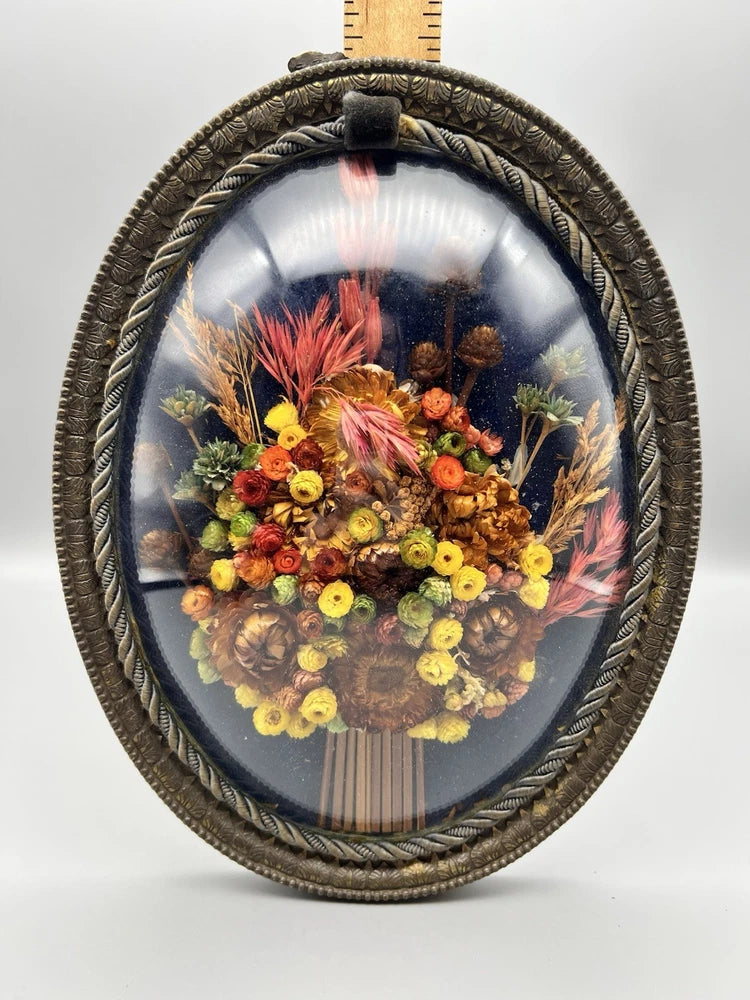 Oval dried flower wall art with domed glass and colorful pressed blooms