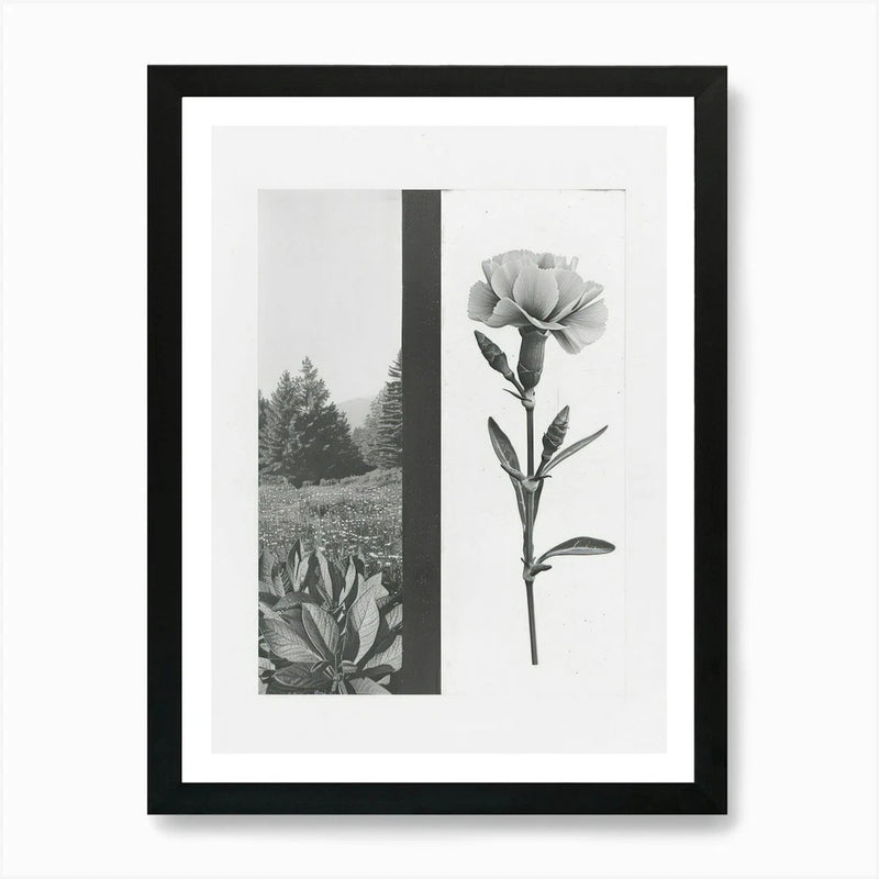 Framed floral wall art with monochrome carnation and landscape photo panels