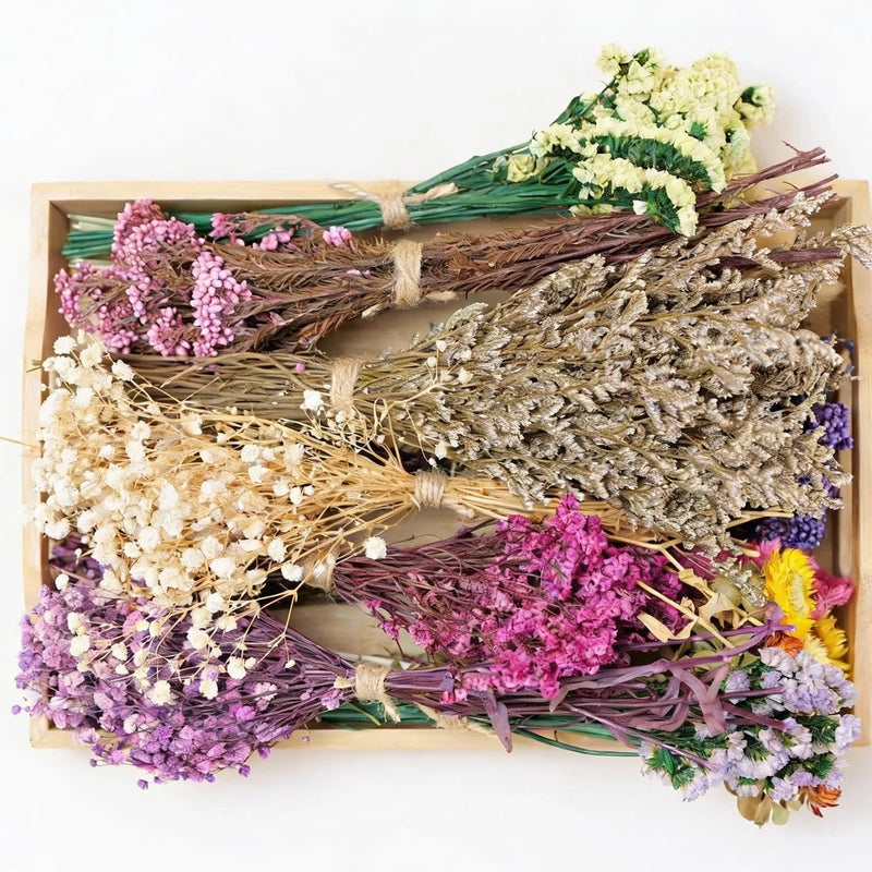 12 Kinds of Handmade Dried Flowers, Natural Pampas Grass, Asters, Love Grass,... Pampas Grass