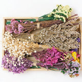 12 Kinds of Handmade Dried Flowers, Natural Pampas Grass, Asters, Love Grass,... Pampas Grass