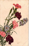 B466 Flowers 1906 Carnations and Colorful Pansies vintage postcard Carnation