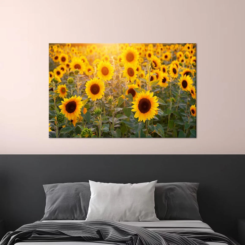 Sunflower wall art canvas print with bright yellow sunflowers and green leaves