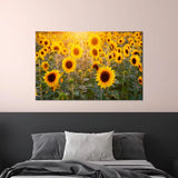 Sunflower Field Elegant Yellow Flowers Wall Art Canvas Unframed Print Art Sunflower