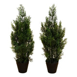 Nearly Natural 2ft Artificial Cedar Pine Tree UV Resistant (Set of 2) Green Plant