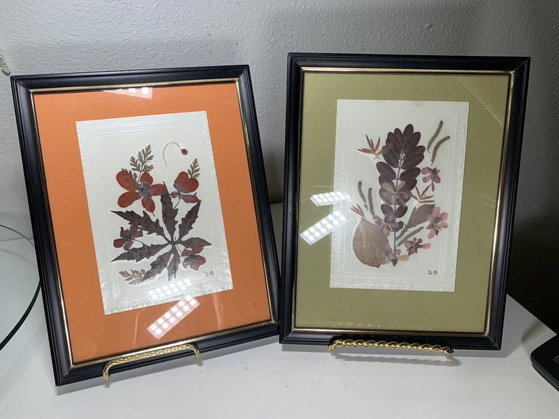 Set of 2 vintage dried flower wall frames with botanical prints, black and gold trim