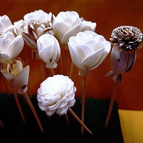 White artificial sola wood flowers with brown reed stems, mixed flower heads