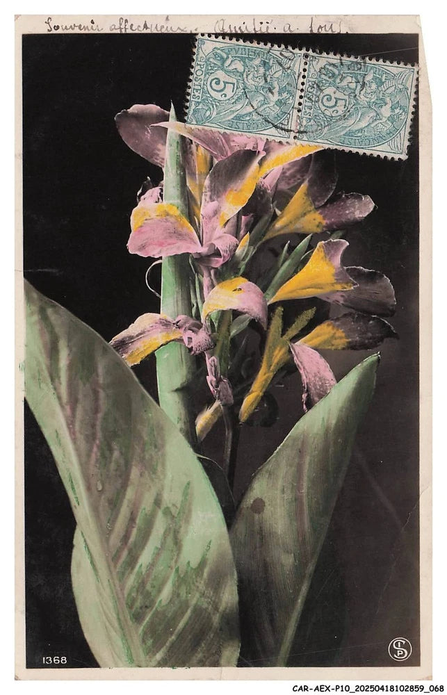 Framed lily flower artwork with multicolor blooms and green leaves