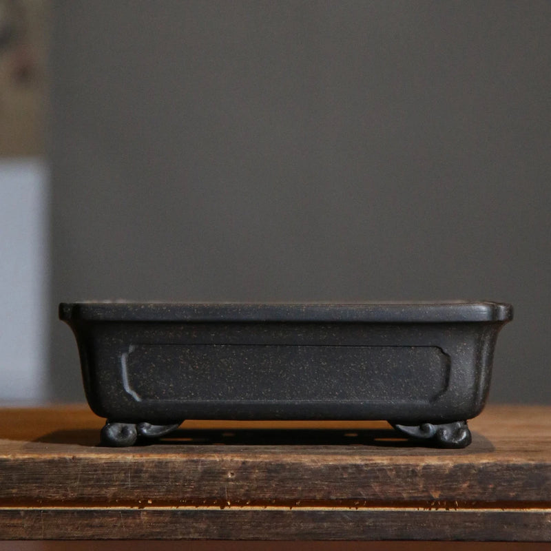 Dark ceramic rectangular bonsai pot with drainage holes and small feet