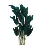 120pcs Natural Bunny Tail Dried Flowers 24" Mini Pampas Grass, Dark Green Dried Flower