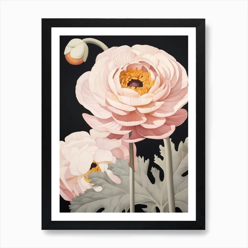 Flower Illustration Ranunculus 2 Ar Framed Wall Art Poster Canvas Print Picture Ranunculus