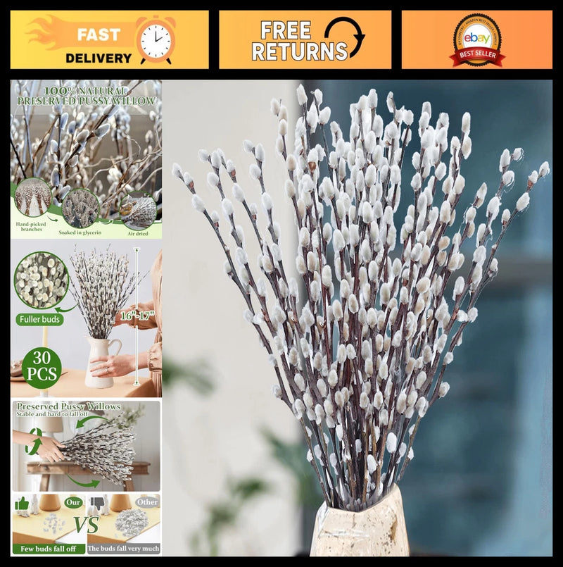 30 Stems Dried Pussywillow Branches - Natural Greenery with White Flowers, 16''- Dried Flower