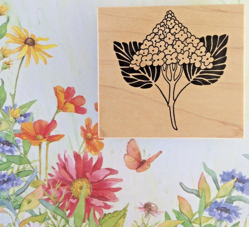 Wordsworth Hydrangea Flower Wood Mounted Rubber Stamp Spring Garden Nature Scene Hydrangea