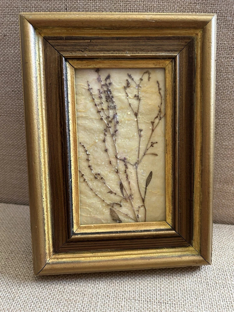 Gold framed pressed dried flowers wall art, lavender stems