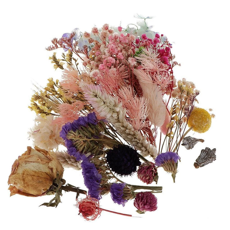 Mixed dried pressed flowers and leaves bundle in pink, purple, cream, and tan
