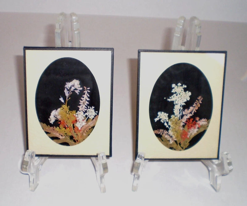 Set of 2 oval framed pressed flowers on dark velvet with colorful floral stems.