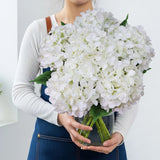 Silk White Hydrangea Artificial Flowers with Stem, 6Pcs 20" Large Full Faux F... Hydrangea