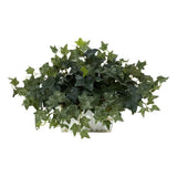 Pemberly Row Ivy with White Wash Planter Silk Plant in Green/White Green Plant