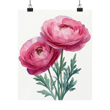 Boho Pink Ranunculus Flower Art Print Poster, Minimalist Floral Wall Art 4 Ranunculus