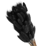 15.7in Bunny Tails Dried Flowers 150pcs Pampas Grass Decor, Black Pampas Grass
