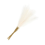 20Pcs Pampas Artificial Grass 21" Fake Pampas for Wedding Decoration Cream Pampas Grass