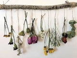 Hanging Dried Flower Wall Decor, Rustic Flowers on a Wooden Branch, Home Decor Dried Flower