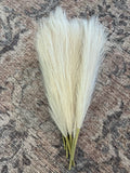 Faux Pampas Grass Stems Ð Set of 7 | Beige Fluffy Artificial Stalks | Home Decor Pampas Grass