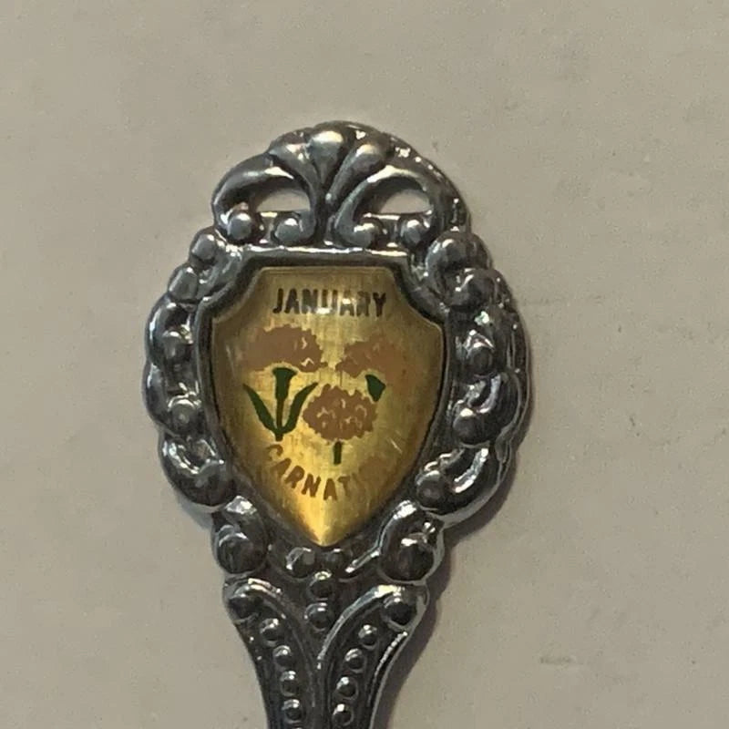 January Carnation Flower collectable Souvenir Spoon PJ Carnation