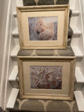 pair of floral prints roses and hydrangea Hydrangea