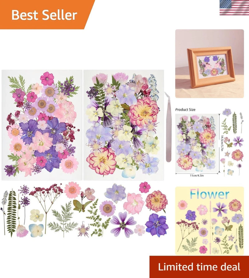 50Pcs Dried Pressed Flowers Resin Mould Real Pressed Flowers Natural Dry Leav... Dried Flower