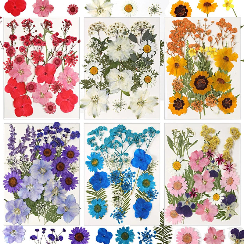 Mixed dried flower set, 103 pieces with leaves and assorted blossoms, colorful