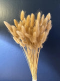 110 Natural Bunny Tails Lagurus Ovatus ~ Dried Flowers 20Ó Dried Flower