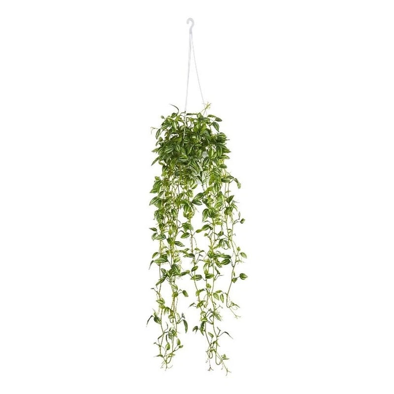 Nearly Natural Green Variegated Wandering Jew Hanging Basket Artificial Plant Green Plant