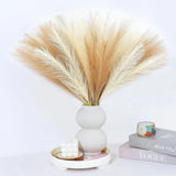 Pampas Grass Decor 30 Pcs 21.7 Inch 30 Pcs, 30 Brown and Yellow Style Pampas Grass
