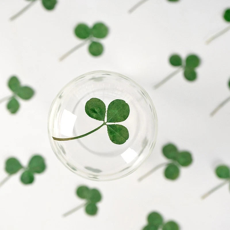 Dyed green pressed dried clover leaves with stems in a clear round display