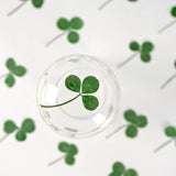 12PCS Real Pressed Dried 3 leaves with stem, Dyed Leaves, dyed green color FSS90 Dried Flower