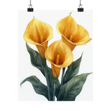 Boho Yellow Calla Lilies Flower Art Print Poster, Minimalist Floral Wall Art X1 Lily