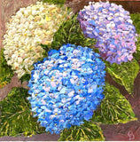 Hydrangea Original OIL Impasto PAINTING FLOWERS Still Life 8"x8" by Olga Diduh Hydrangea
