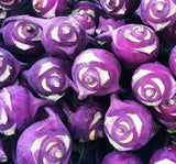 KOHLRABI SEEDS 300+ PURPLE VIENNA vegetable GARDEN CULINARY FREE SHIPPING Garden Plants