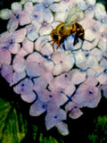 ORIGINAL Watercolor 7x7 Frame Bee Hydrangea Garden Country Cottagecore Flower Hydrangea