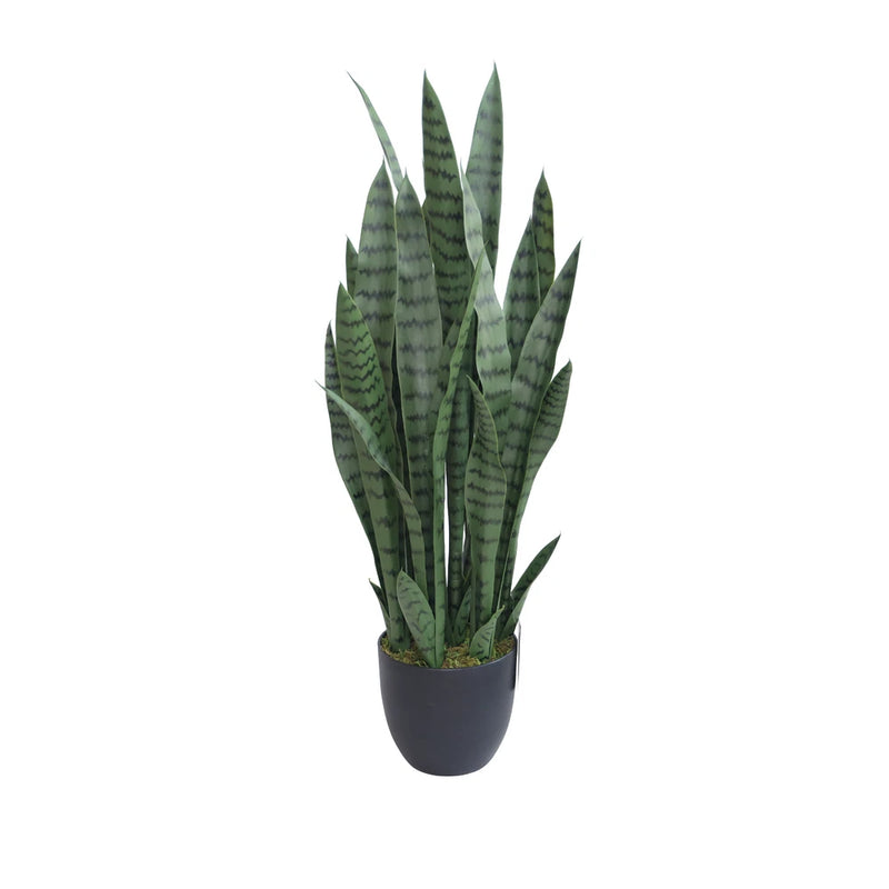 36Ó Faux Snake Plant (Sansevieria) Plant in Black Pot for indoor outdoor use Green Plant
