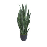36Ó Faux Snake Plant (Sansevieria) Plant in Black Pot for indoor outdoor use Green Plant