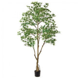 Light Green Potted Japanese Maple Tree Faux Plants And Trees Green Plant