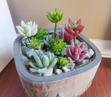 Set of 13 Pcs Artificial  Plants Flocking Finger And Yacons Succulents Green Plant