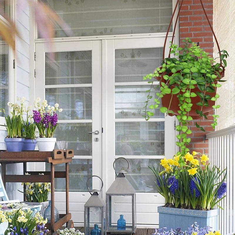 Hanging flower pots set with green plants and blue, purple, and yellow blooms