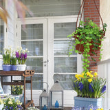 12 Sets Hanging Flower Pots for Patio Balcony Garden Garden Plants