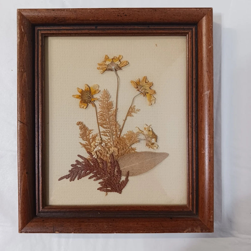 Framed dried flower arrangement with multicolored pressed blooms in a dark wood frame