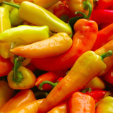 30+ HUNGARIAN SWEET WAX PEPPER SEEDS NON-GMO FRESH FOR YOUR GARDEN Garden Plants