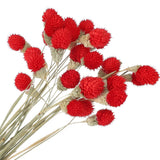 30 Pcs 16 Inch Dried Flowers for Vase Mini Pine Ball Flowers Red Dried Flower
