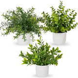 3 Pack Artificial Potted Plants Eucalyptus Rosemary ZZ Plant Zamioculcas Zami... Green Plant