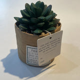 Demdaco Green Succulent Plant Kind Friendship 3 x 5 Acrylic Artificial Flower Green Plant